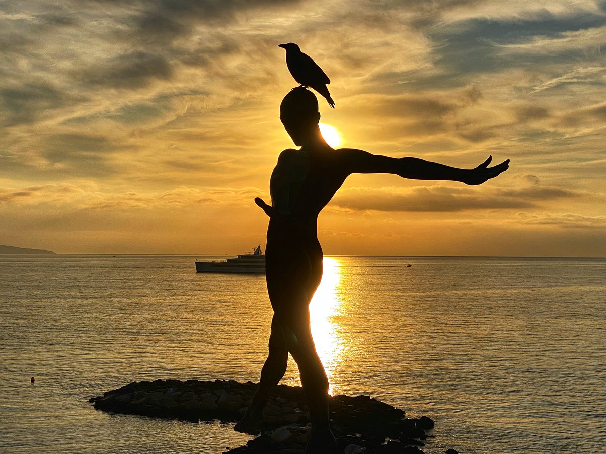 RidhaMoumen69's tweet photo. L’homme et l’oiseau
#Antibes #juanlespins
#lifestyle #cotedazurfrance #happyness #dolcevita #liberte #mediterranee #sunrise #amour #ete #juillet #poesie #nature #photo #lavarenne #oiseau #ledefi
#france 🇫🇷 #italie 🇮🇹 #tunisie🇹🇳 #maroc🇲🇦 https://t.co/fTkHweWrTM