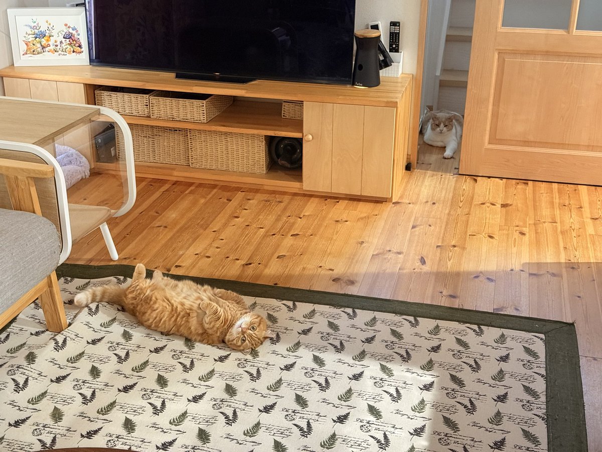 起きてリビング来たら赤ちゃんおった