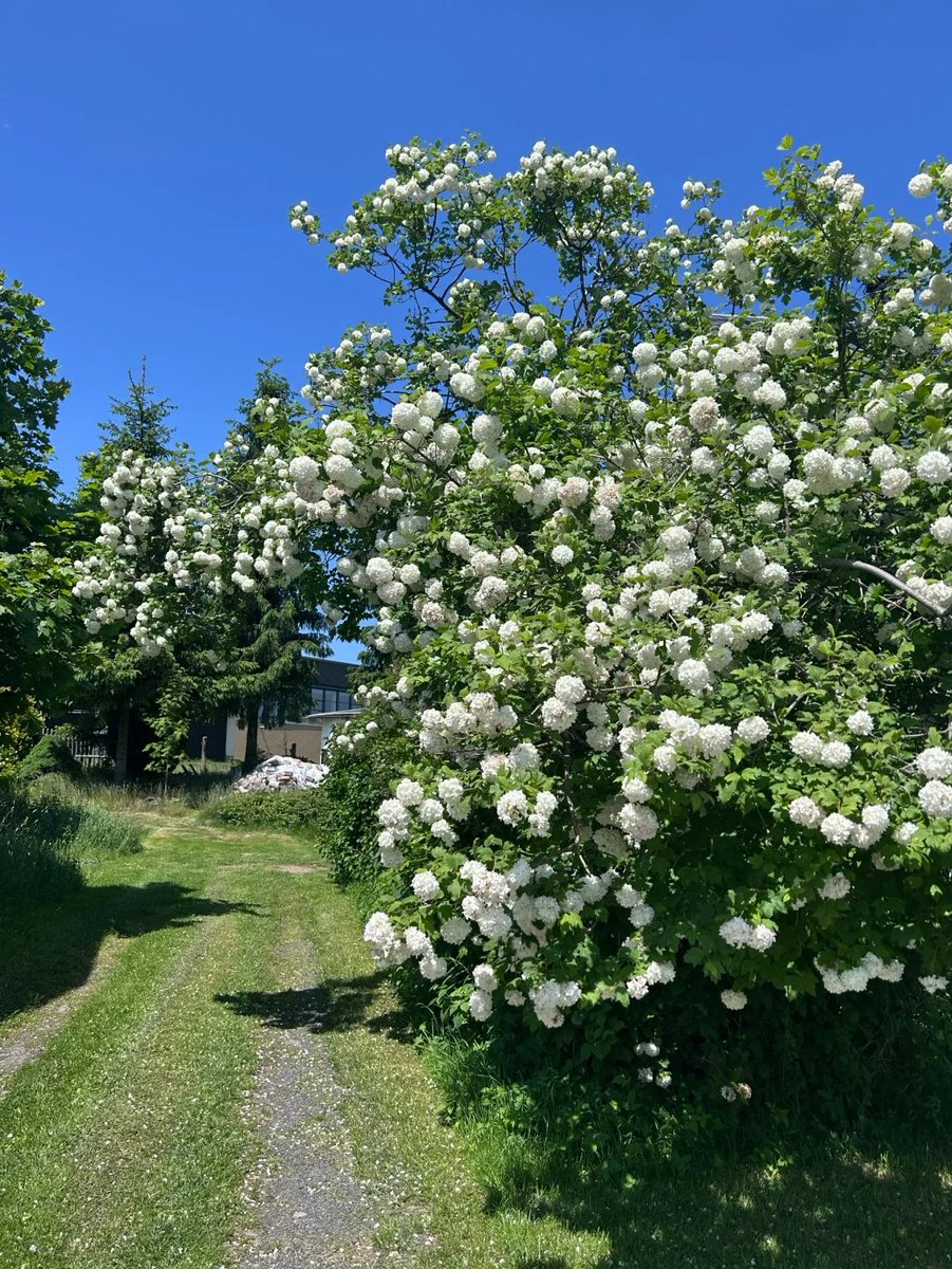 ChenDailyLog's tweet image. Only when you know how to enjoy life, life will give you more in return