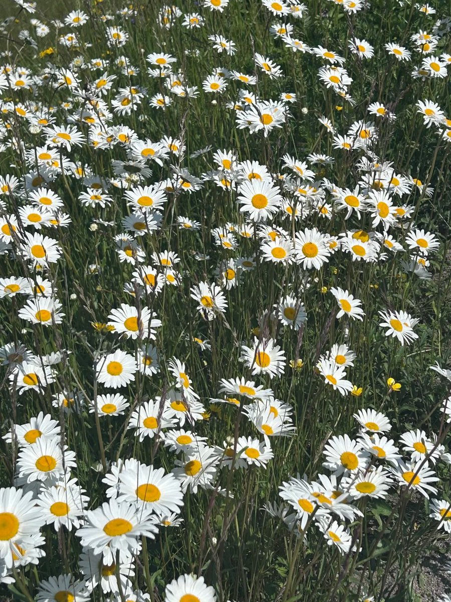 ChenDailyLog's tweet image. Only when you know how to enjoy life, life will give you more in return