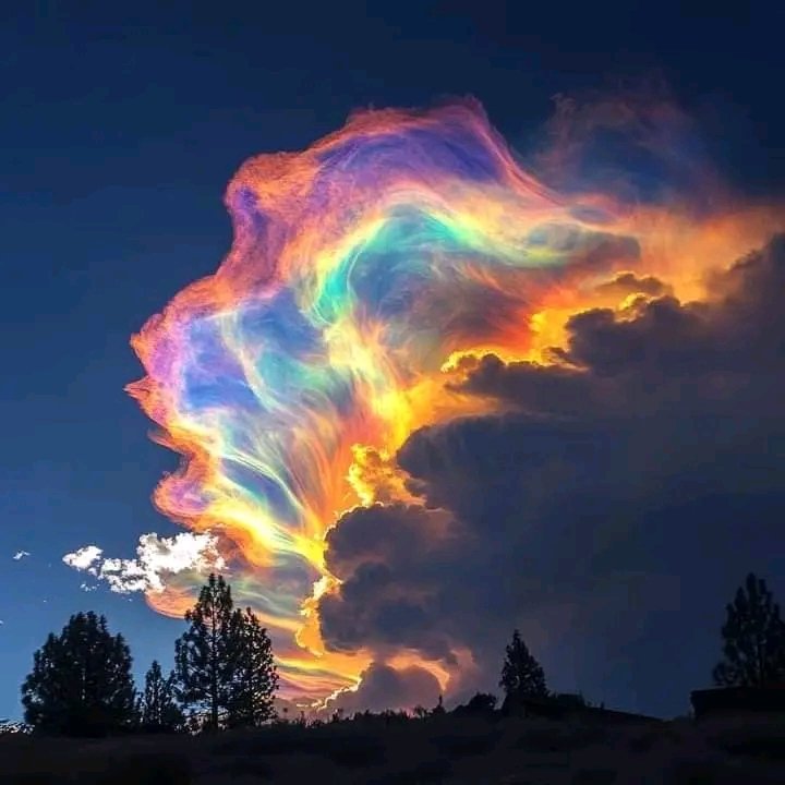 Paschal ⛩️ tweet media