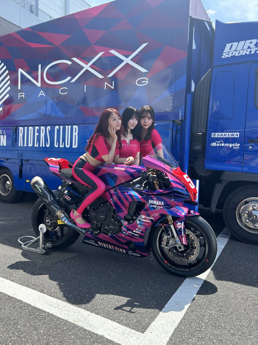 シナリー R2など ねこx2⭐︎様 シナリー R2など ねこx2⭐︎様 シナリー