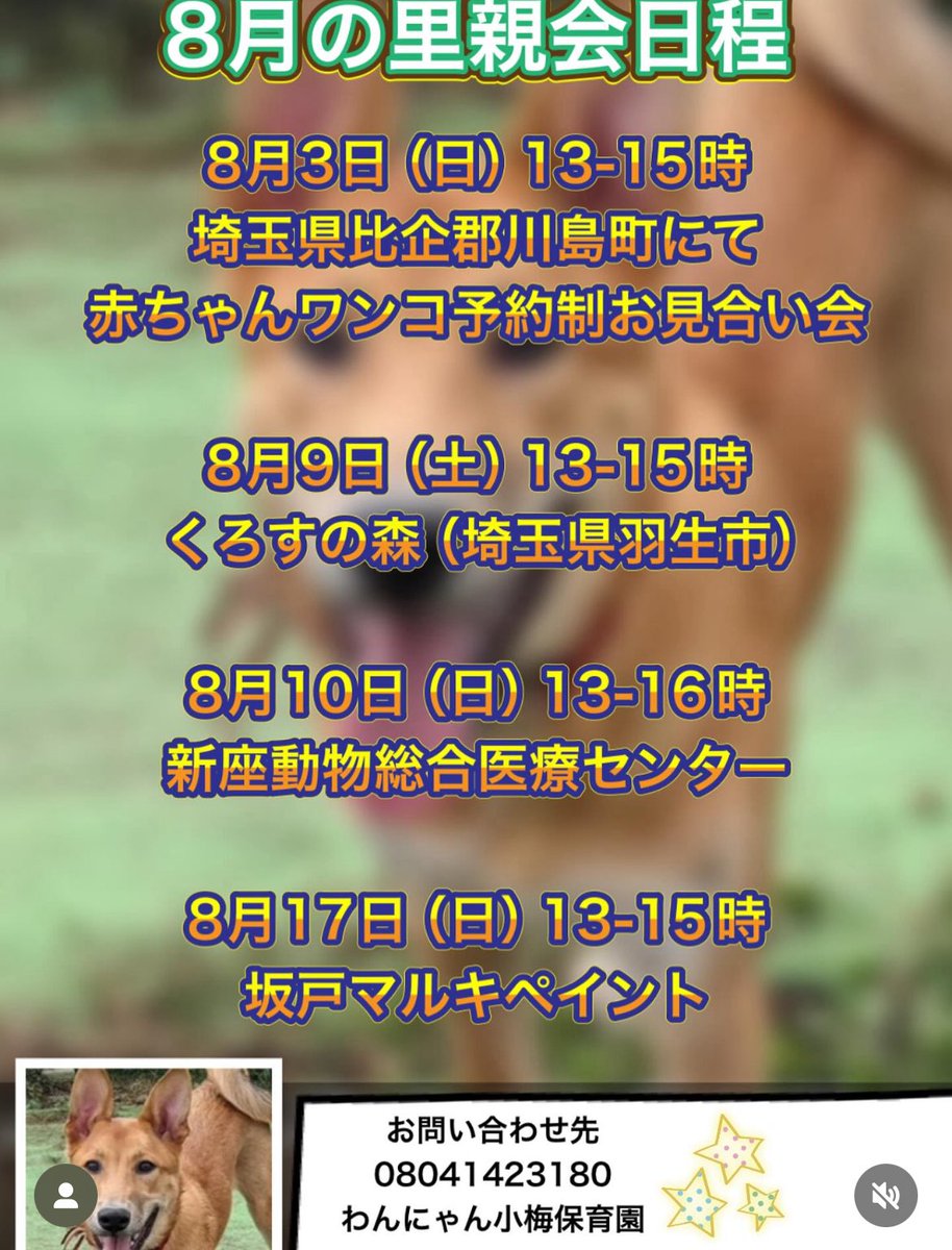 埼玉県にて★8月里親会のお知らせ★みんなで運命の里親さんを待っています🥰

お問い合わせ先
little-quu@nifty.com
08041423180

わんにゃん小梅保育園
ＦＡＲＣＯ