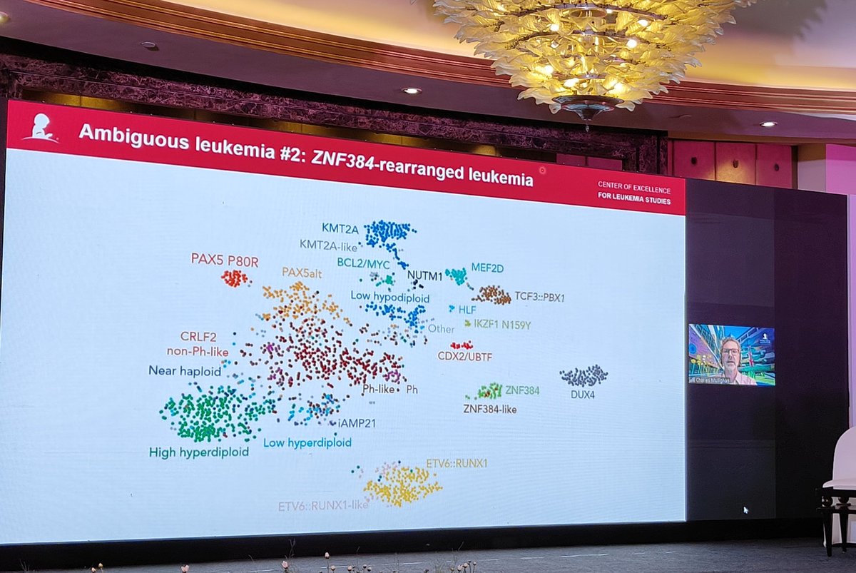 Anand KC (@anand_sschrc) on Twitter photo @charlesmullighan from <a href="/StJude/">St. Jude</a> speaking at 10th Midterm PHO CME at Noida, India organised by <a href="/PGIChildHealth/">Post Graduate Institute of Child Health, Noida</a> <a href="/DrNita/">Nita A. Stika, PhD</a> and team <a href="/pho_india/">PHO INDIA</a> <a href="/INPHOG/">INPHOG</a> <a href="/StJudeResearch/">St. Jude Research</a> <a href="/BadiraP/">Badira Cheriyalinkal Parambil</a> <a href="/DrManasKalra1/">Dr Manas Kalra</a> @charlesmullighan from <a href="/StJude/">St. Jude</a> speaking at 10th Midterm PHO CME at Noida, India organised by <a href="/PGIChildHealth/">Post Graduate Institute of Child Health, Noida</a> <a href="/DrNita/">Nita A. Stika, PhD</a> and team <a href="/pho_india/">PHO INDIA</a> <a href="/INPHOG/">INPHOG</a> <a href="/StJudeResearch/">St. Jude Research</a> <a href="/BadiraP/">Badira Cheriyalinkal Parambil</a> <a href="/DrManasKalra1/">Dr Manas Kalra</a>