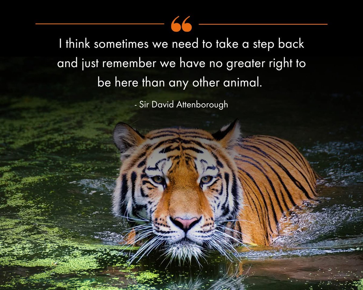 FuckForForest.org - Official 🔞 (@ffftribe) on Twitter photo 