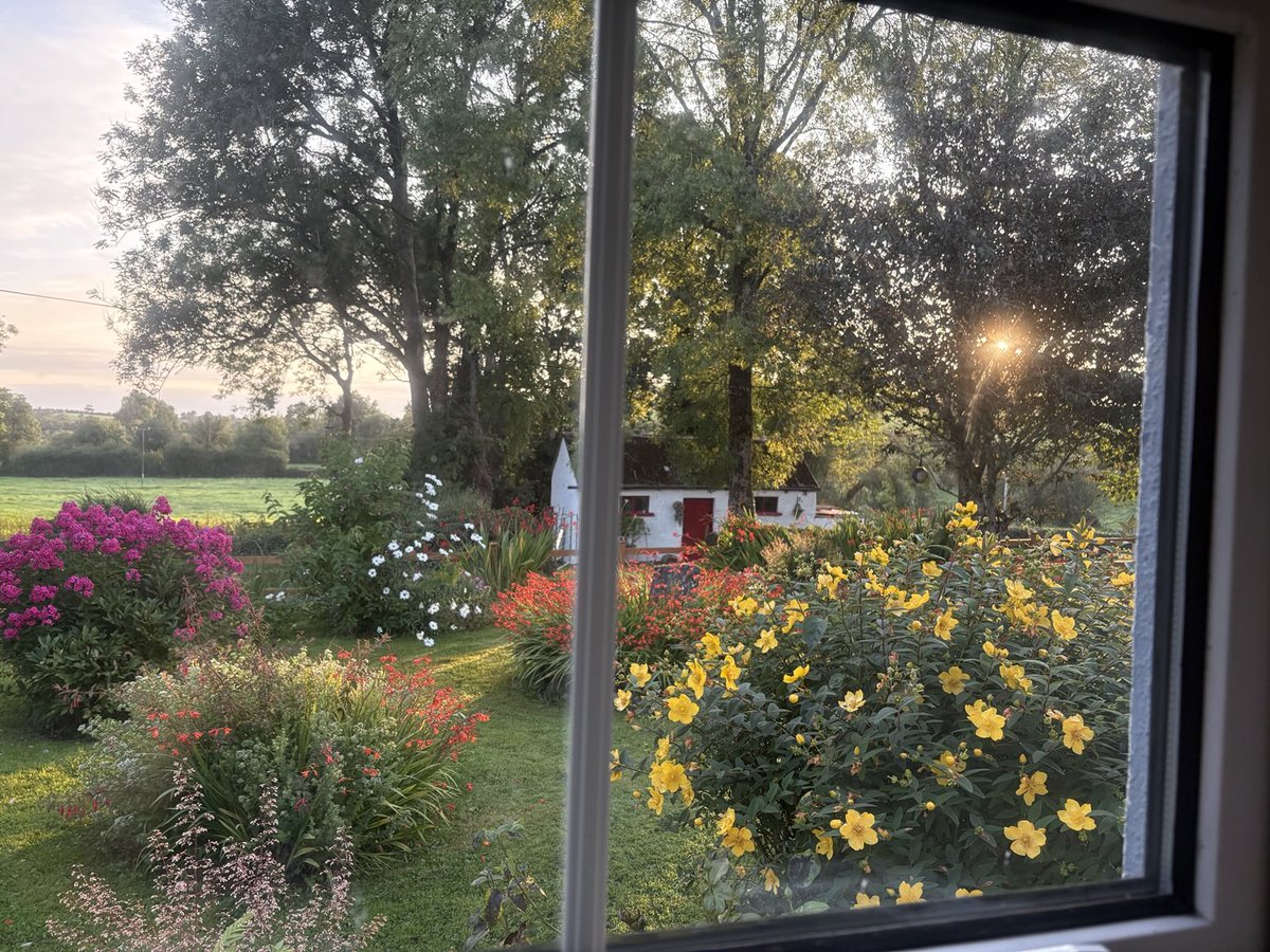 mtully21's tweet image. #ViewFromTheWindow on a sunshiny Saturday.
May your storm blow over quickly and peace restored.
#ThisIsCavan

And it is Good…