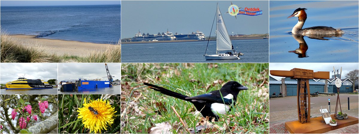 #impressie #Den_Helder #augustus - #august2025 - #strand #zee #natuur / #beach #sea #nature