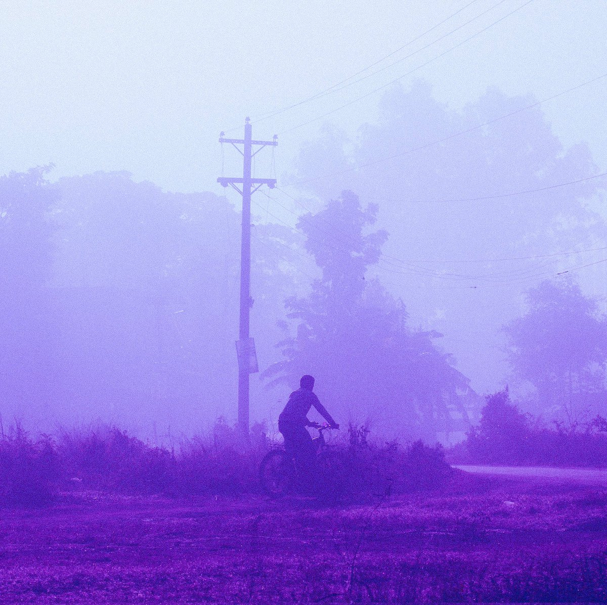 Purple Haze 

📸⛓️ <a href="/zora/">$zora</a>