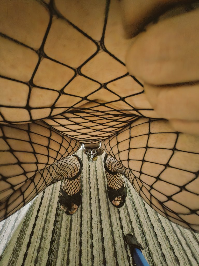 Alexandra Reyes GorditaTV🏳️‍⚧️ tweet media