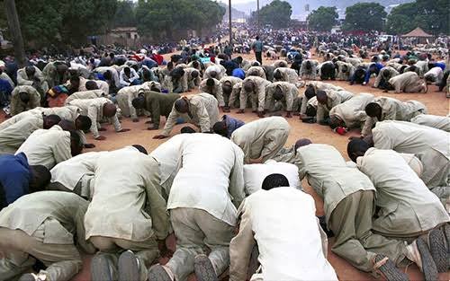 Agent Nala tweet media