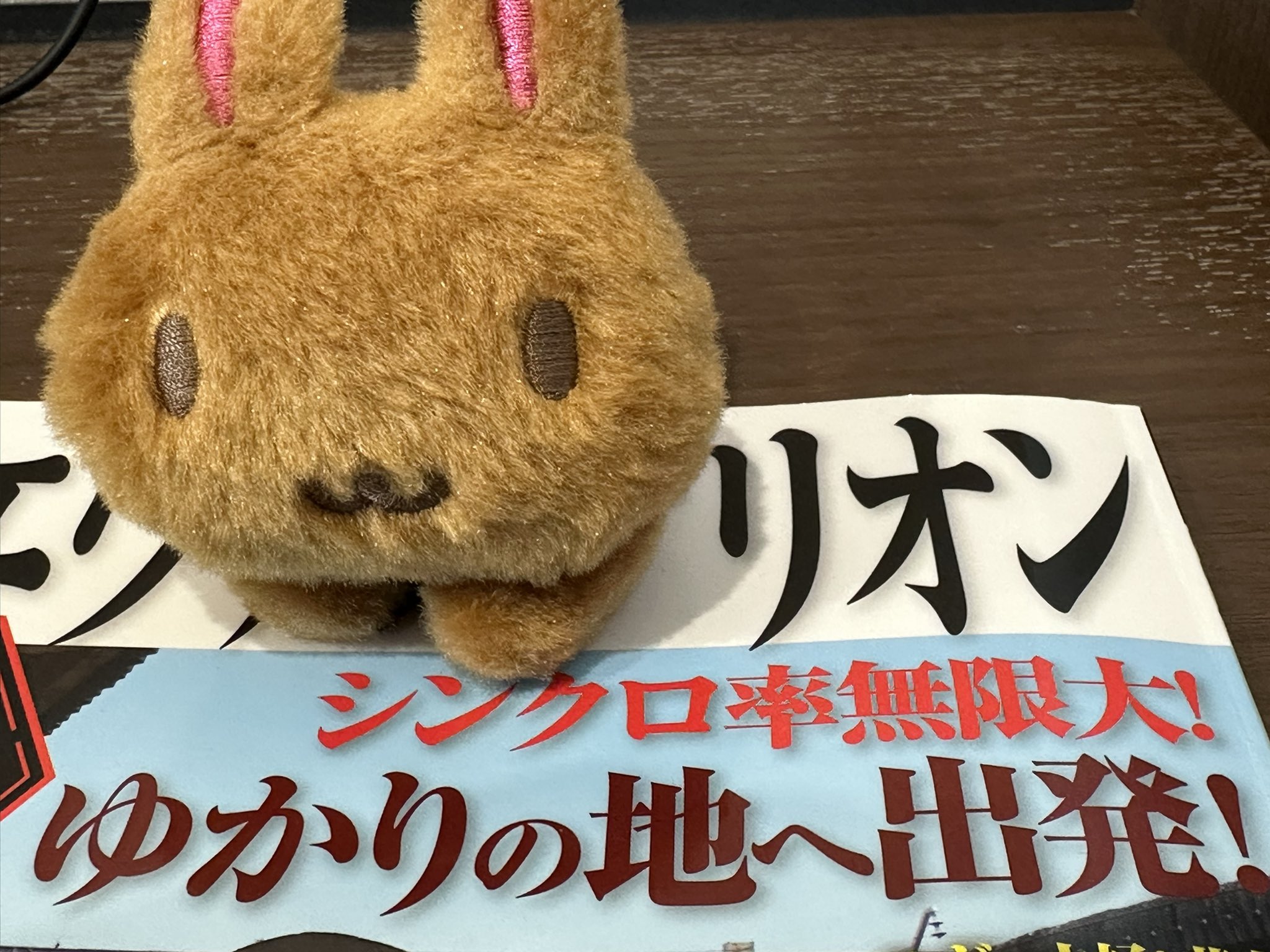 ◆レア◆田村ゆかり　パペット　みるく　ミルク　白　ゆかり王国◆ 駿河屋 -<中古>ぷりん 田村ゆかり ゆかり王国公式パペット