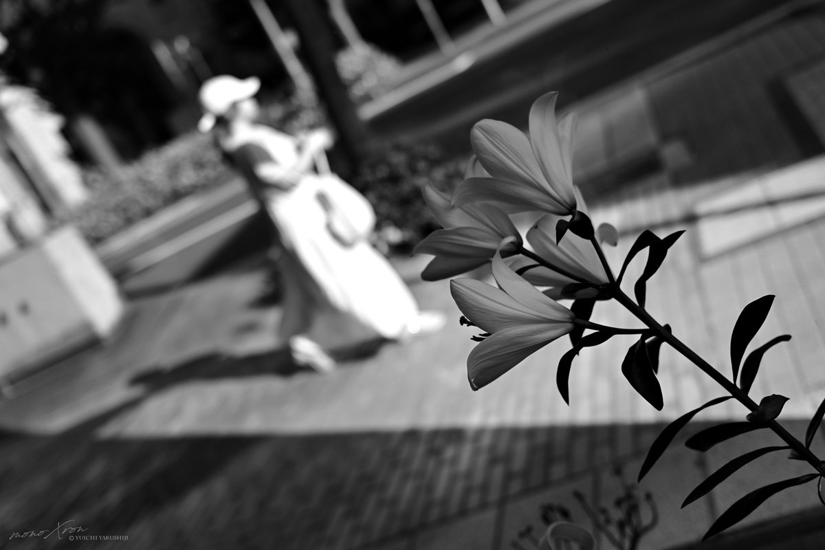 monochrome Days
WHITE