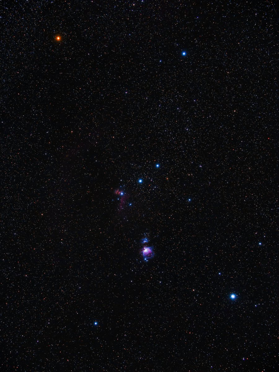 Orion ✨