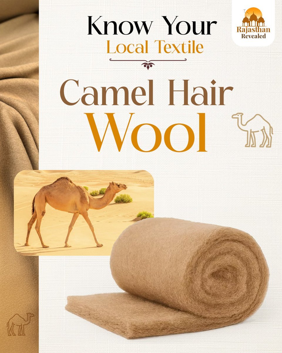 RajasthanReveal's tweet image. Camel wool carries the desert’s warmth and legacy.
#CamelWool #DesertCraft #RajasthanHandicrafts #SustainableTextiles #DesertTraditions