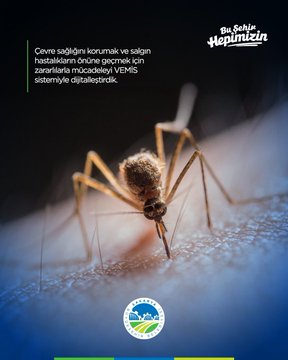 Sakarya’da Sinek ve Kene Mücadelesine Dijital Adım