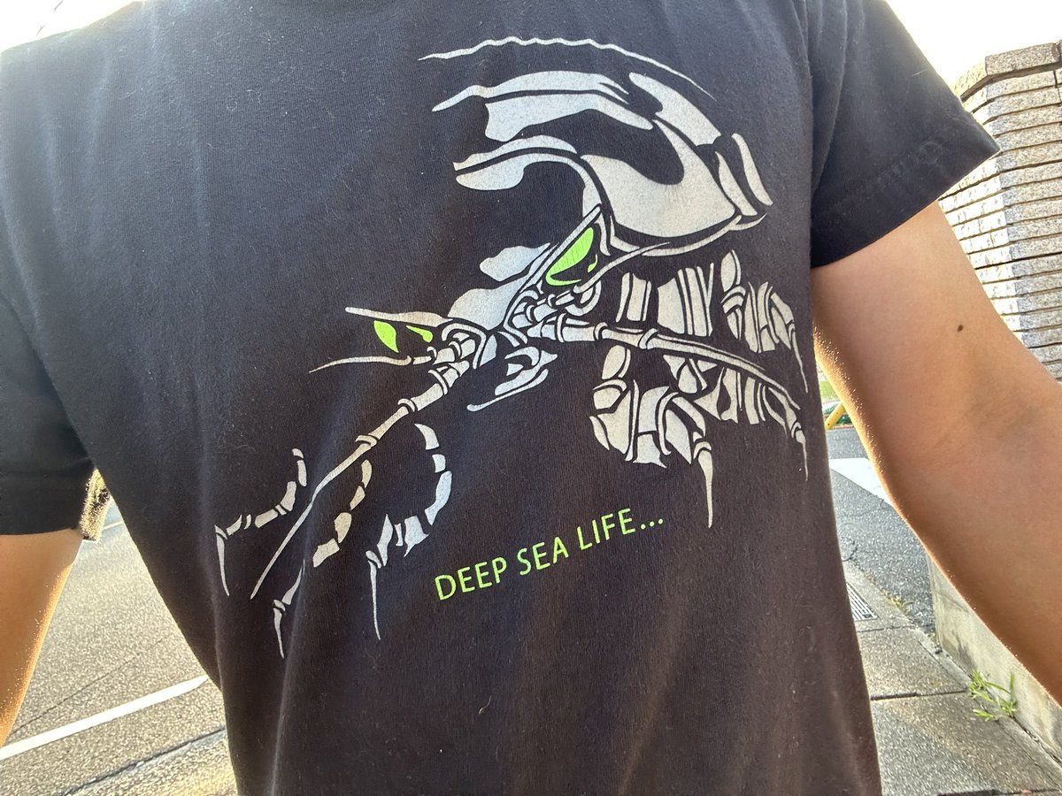 僕の素敵Tシャツ見て見て