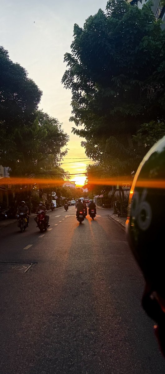 Elisa Le ✨Auralis ✨🖤🩵 🩷✨🐋🌌🇻🇳(REST) tweet media