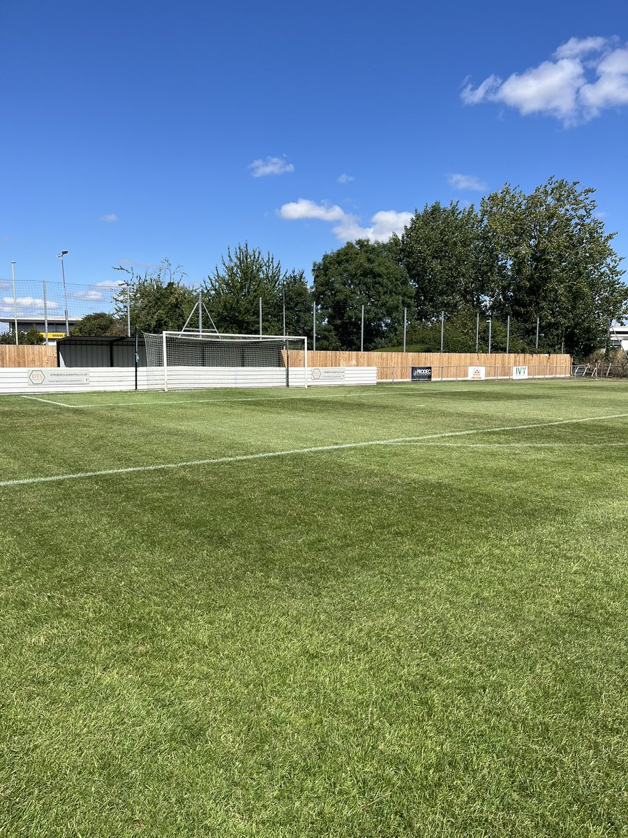 Mark Moore 🐢 tweet media