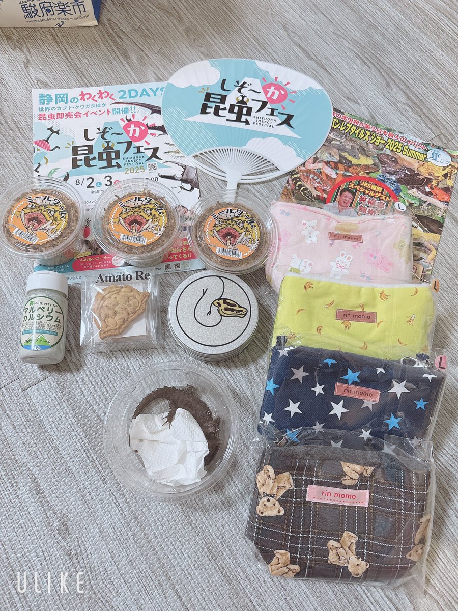 zrlhpu's tweet photo. 夏レプでの��迎え〜◡̎
#静岡レプタイルズショー 
#夏レプ 
#しぞーか昆虫フェス 
#jrs https://t.co/c8XkggOgYl