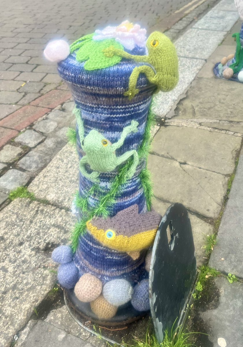 Well this made my day. A celebration of river wildlife in Hertford knitted by locals and covering all the bollards. Fabulous