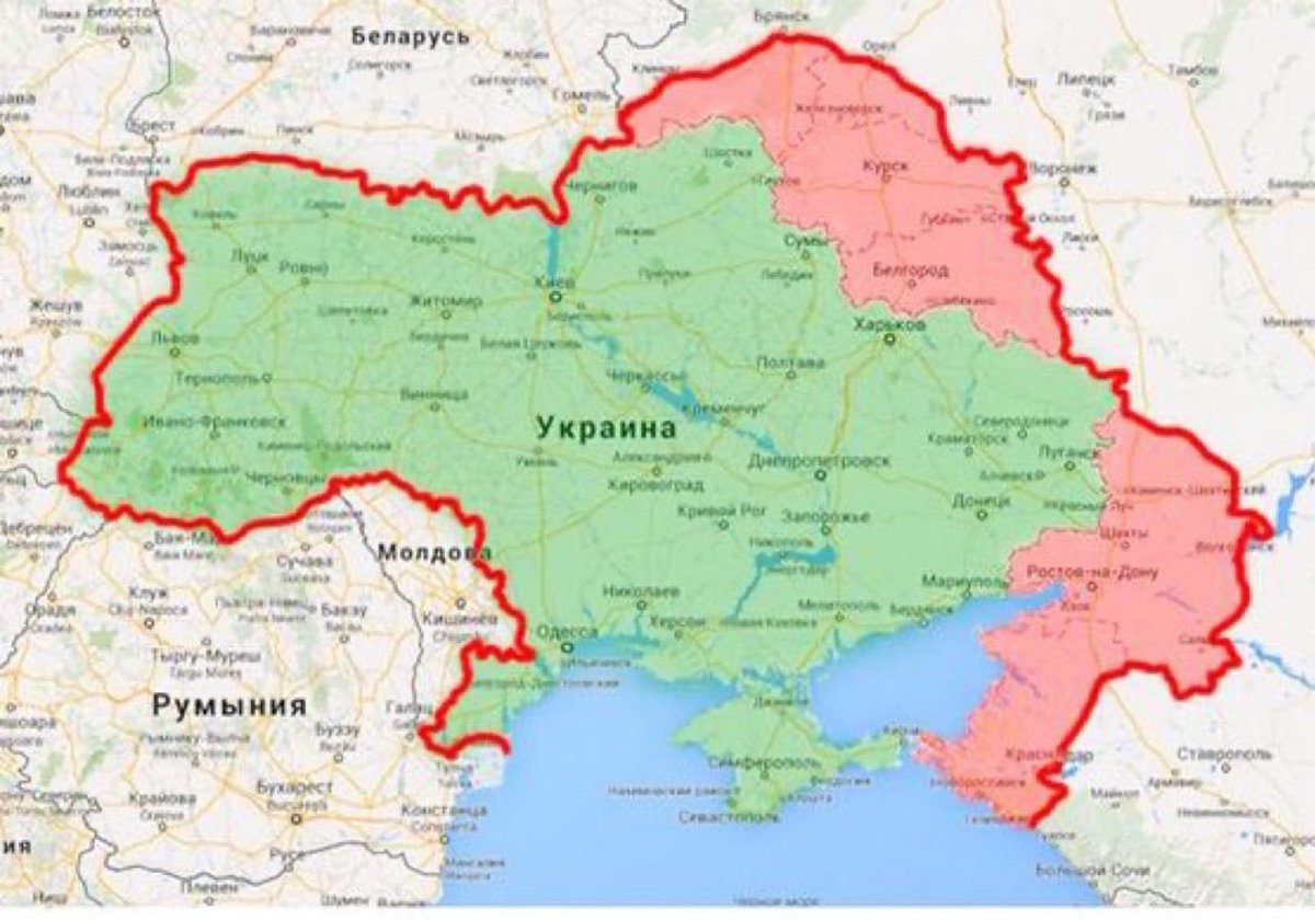 Оля Левина 🇮🇱🇺🇸🇷🇺 tweet media