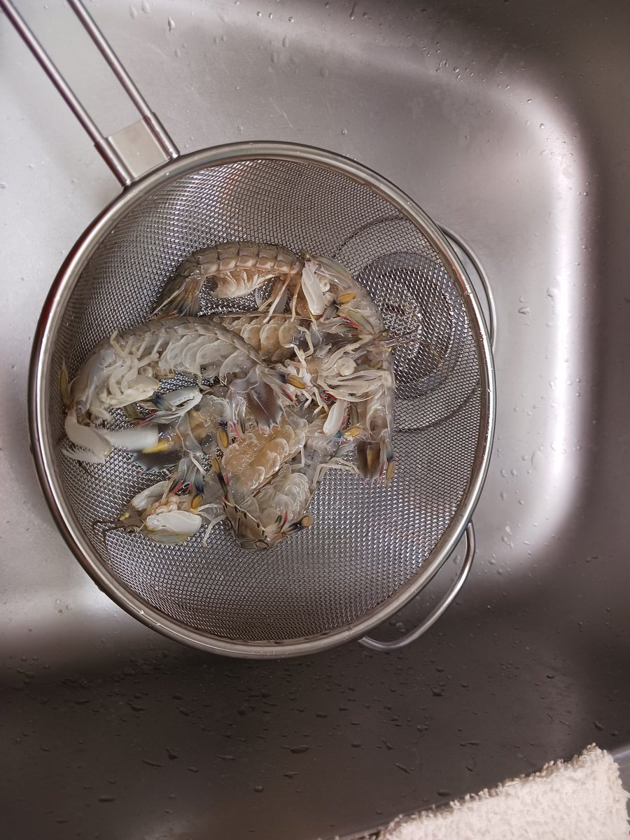 007represent's tweet image. お昼ごはん