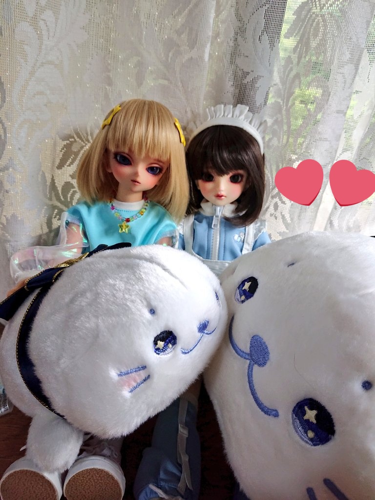 昨日縁があり、我が家に初めてアダプの子来ました！しかも夏にピッタリなタン肌…僕も一期も、14番大好きなので家帰ってからも嬉し泣き(；▽；)スペース撮影だと2人共緊張してたけどお家では馴染んだかな？
恋火ちゃんが寂しがらないようにキディランドでしろたんのぬいぐるみも沢山お迎え(=•ω•`=)