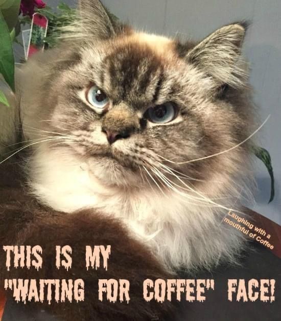 GrammaSharon (@sharonh72693677) on Twitter photo 