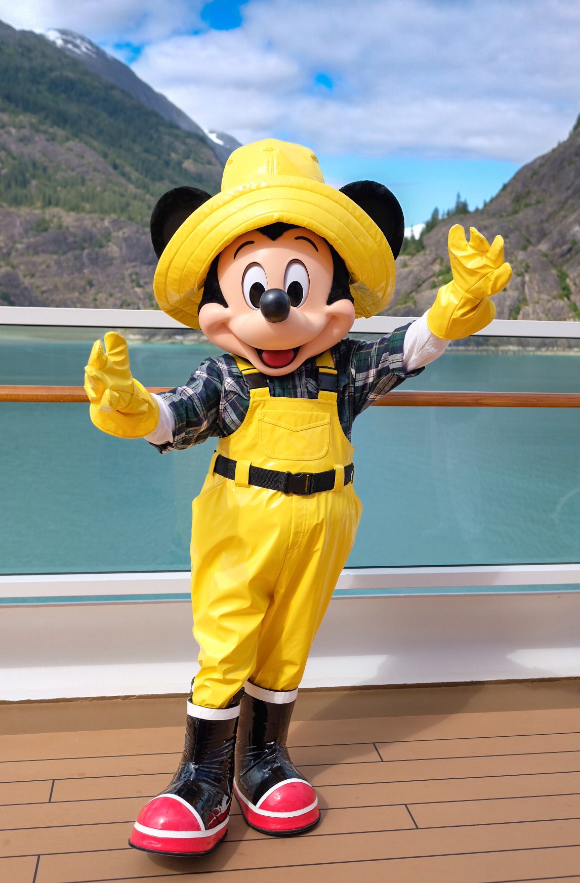 ディズニートランプ 楽天市場】ハナヤマ ディズニープリンセス コレクショントランプ