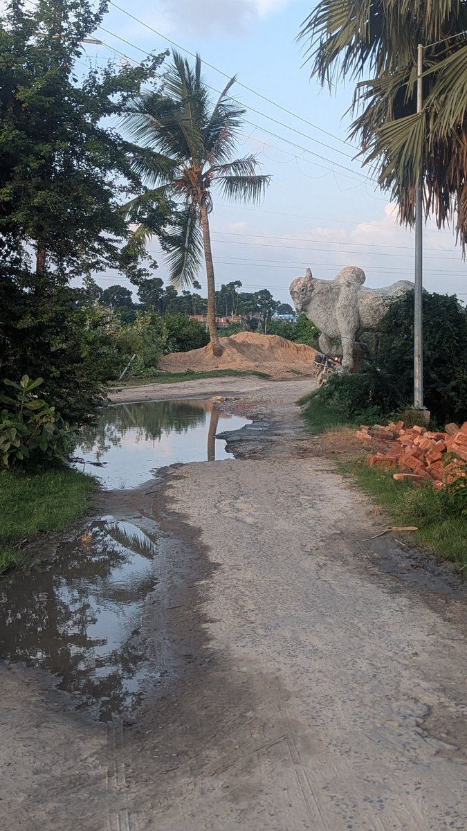 Garv_rayan's tweet image. 📍जिला सहरसा (मत्स्यगंधा रोड)
एक तो नगर निगम ऊपर से सहरसा का प्रसिद्ध क्षेत्र जब प्रसिद्ध क्षेत्र का यह हाल है तो आप सोच सकते हैं की बाकी जगह का कैसा हाल होगा |
#saharsa #Bihar 
@Sanjeevjhaexmla @NitishKumar @BJP4India @samrat4bjp @BJPBiharState