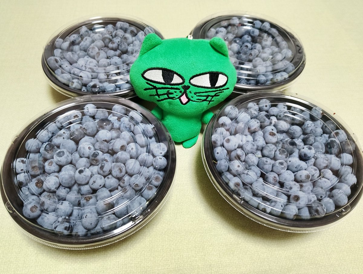 毎年、夏の恒例だったブルーベリー🫐狩り☺️農園が今年で終わりだなんて寂しすぎる😭感謝していただきます🥰