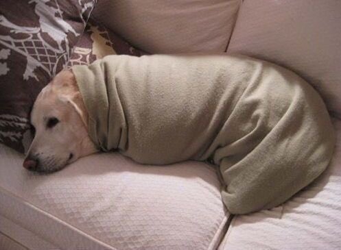 𝒏 𝒐 𝒌 𝒊 tweet media