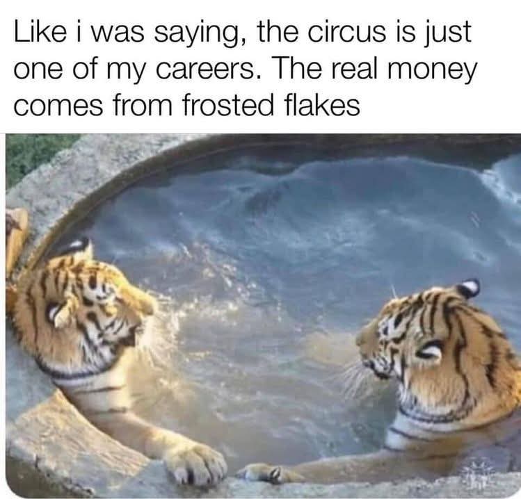 They're grrreat!  😁