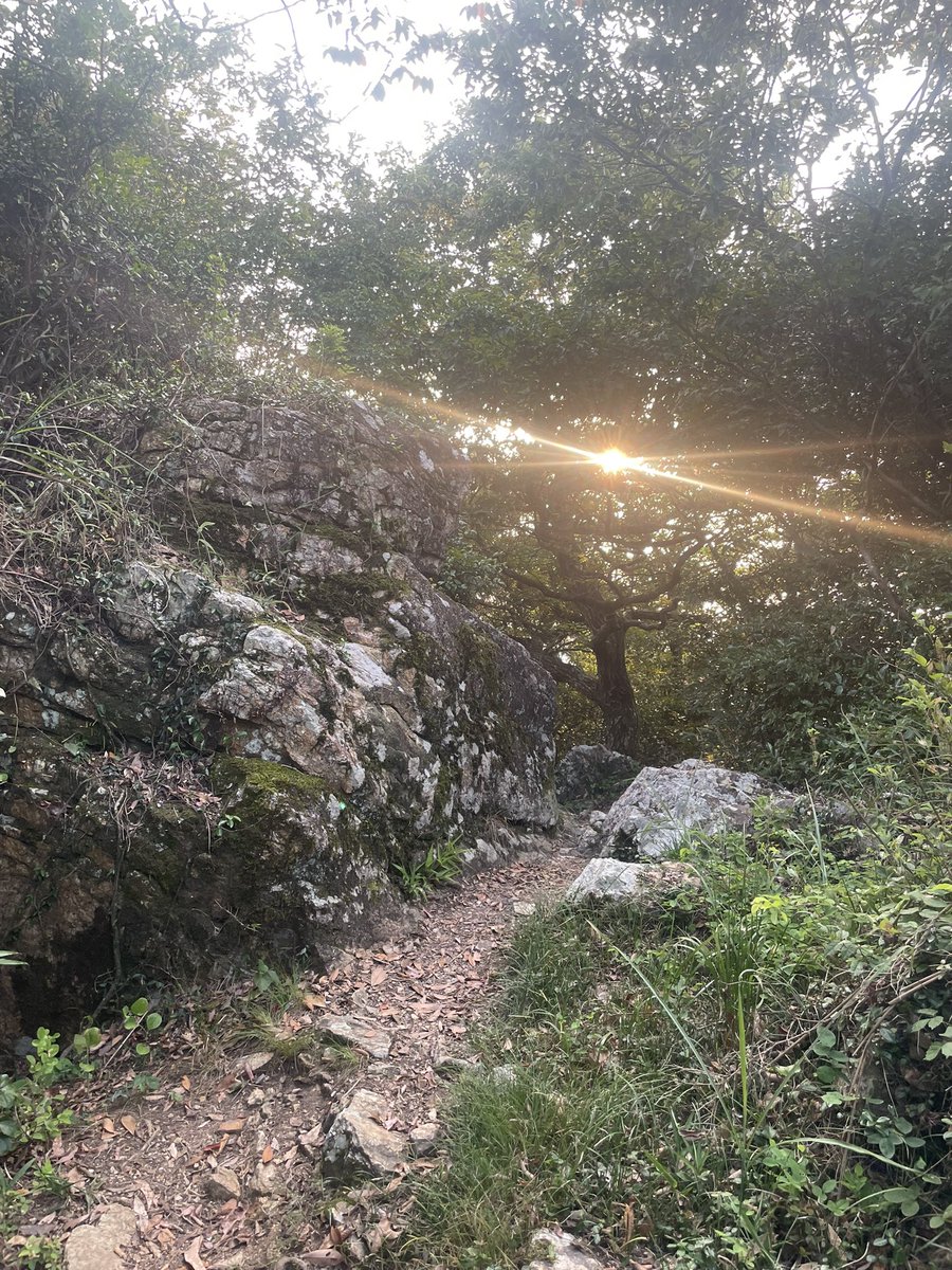 松明峠までロックバランシングを作りに行った。
夕方から登っていたが暑い🥵。
無理せず無茶をする。
1時間後ぐらいは予想が出来る。
だから自分のリミットを超えては歩かない。
緩やかな体力の衰えから備えている事が大事だな。