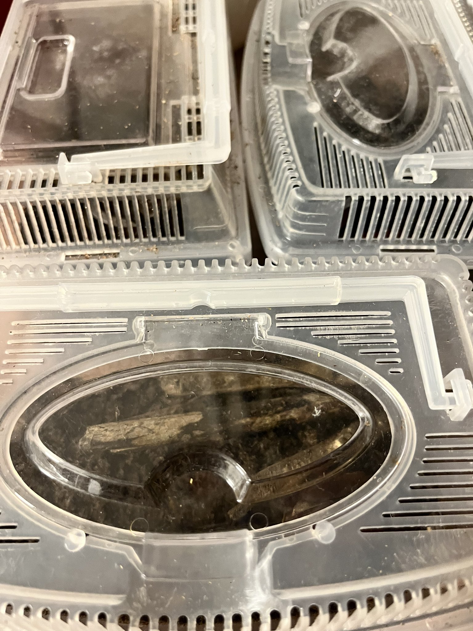 専用ページ ④ DAYTONA（バイク用品） デイトナ DAYTONA キープロテクション