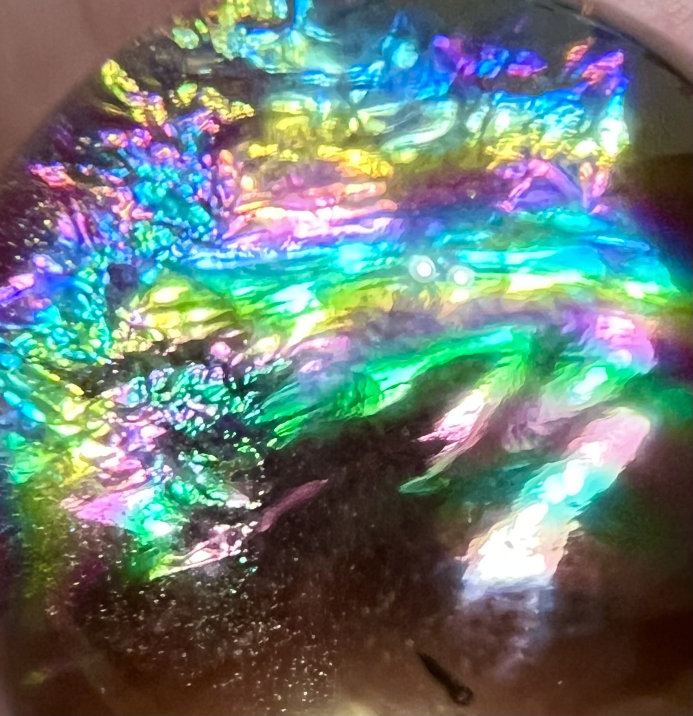 ✨虹龍様と海のインテリア✨ E11xgDPVoAAQ1_E.jpg