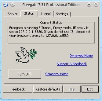 اولین VPN زندگیم که باهاش فیسبوک ثبتنام کردم =) 
شما یادتونه قبل freegate چی داشتیم ؟