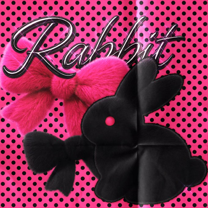 제 64회 #다자츄의_시간🐰
이번 전력의 주제는 【토끼🐇】 입니다. 
전력은 일요일 6시 19분부터 시작됩니다🐟🐌