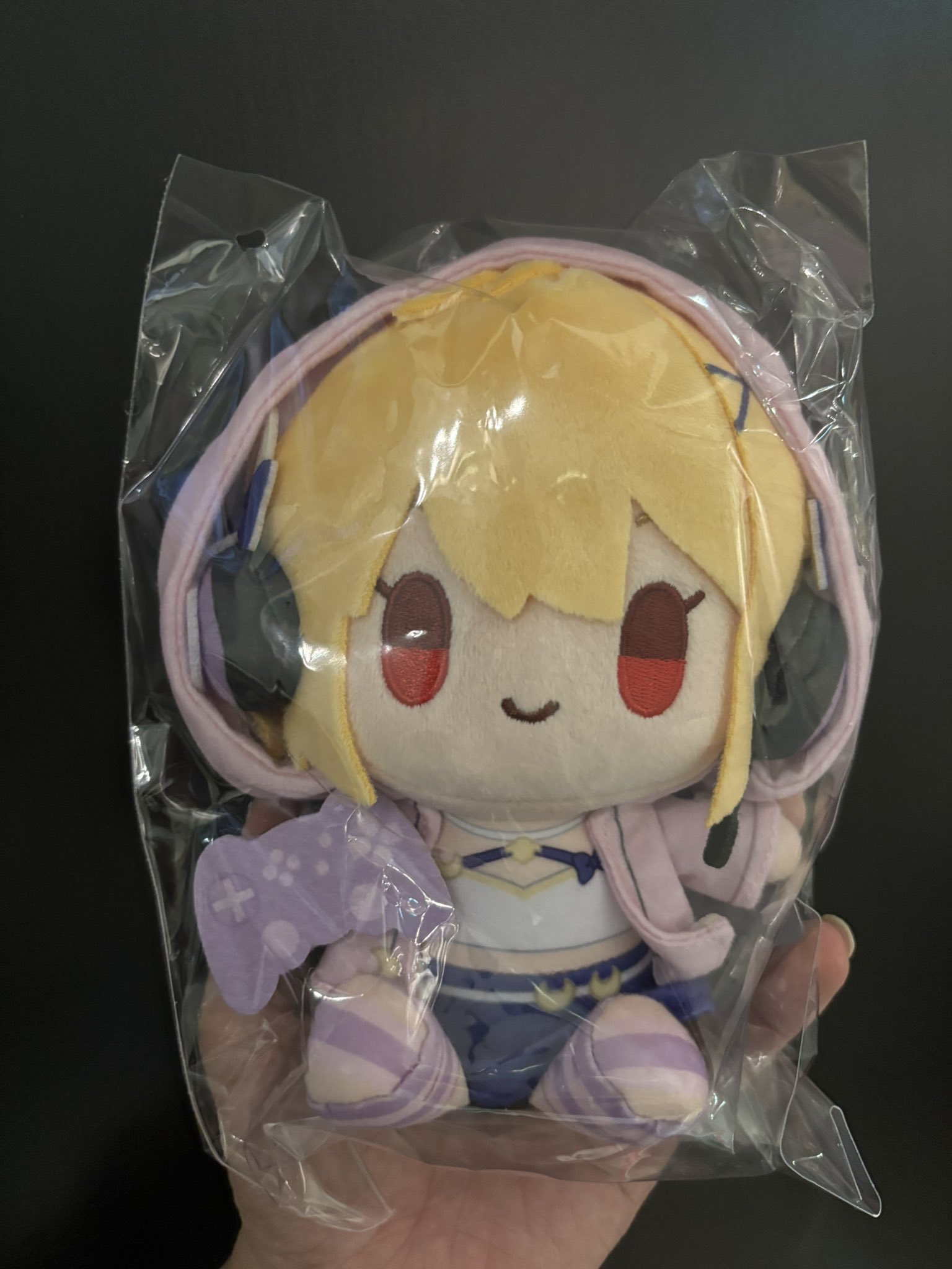 スペムン ぬい FGOフェス2025 Irregular🍃🎤👑💋⭐️@最終再臨展FGOフェス2025DAY1現地