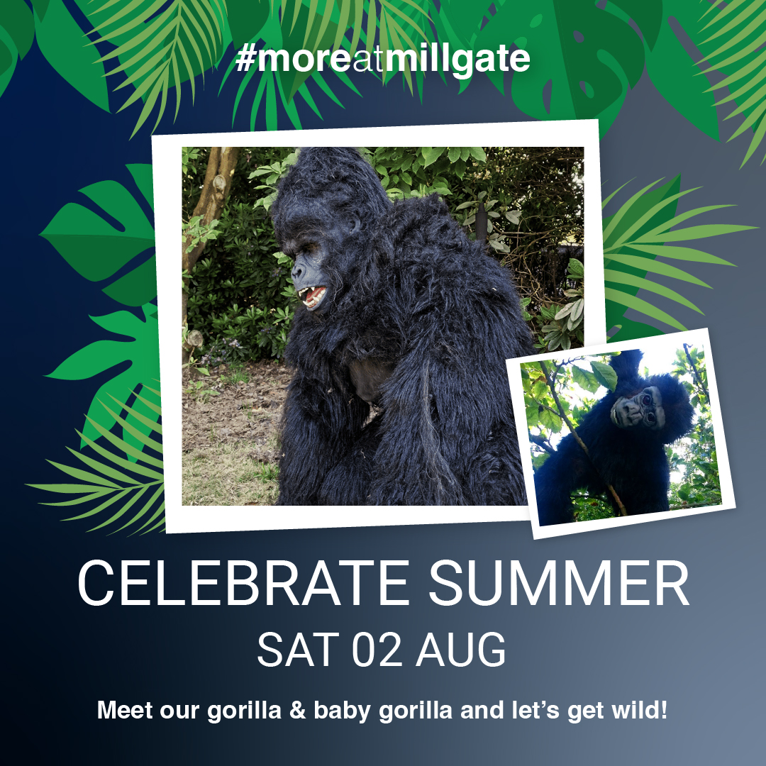 Mill Gate tweet media