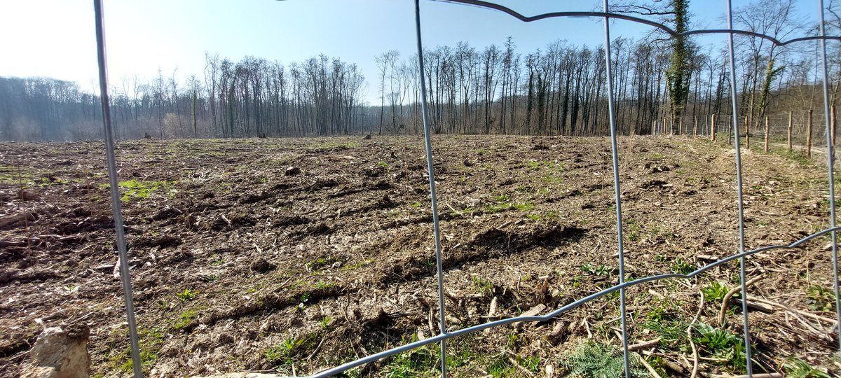 SOSMontmorency's tweet photo. Fermer les parcs, interdire l’accès, poser des grilles ou des panneaux “forêt dangereuse”, c’est plus simple que de remettre en question une politique forestière destructrice.
#maires #sénateurs #députés #conseilgeneral #régionidf
Nous soutenir :
https://t.co/EqyauJ6sKg https://t.co/qqHhxLVmD3
