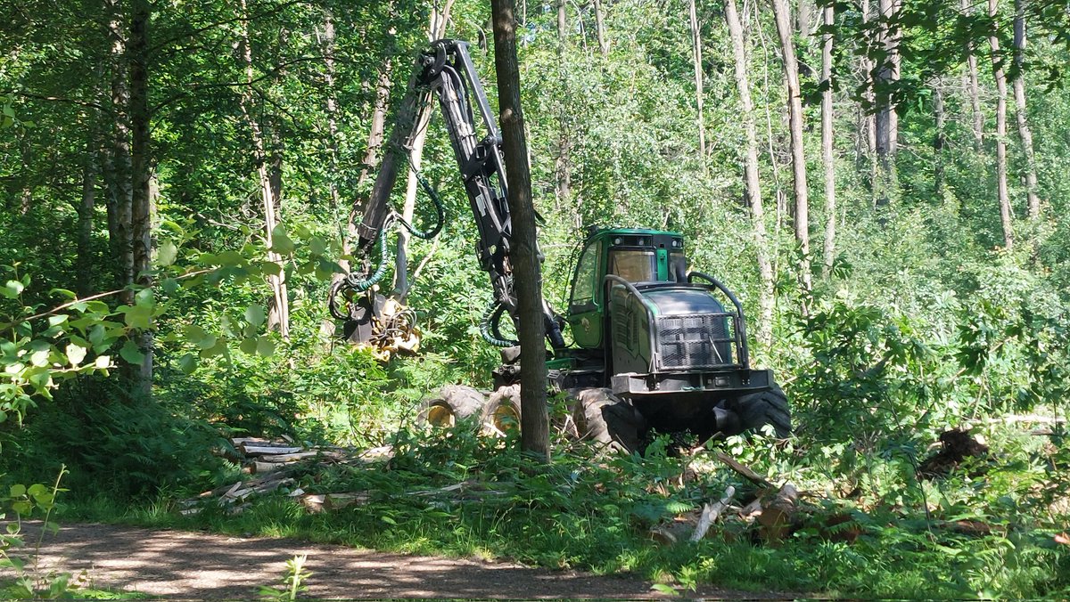 SOSMontmorency's tweet photo. Fermer les parcs, interdire l’accès, poser des grilles ou des panneaux “forêt dangereuse”, c’est plus simple que de remettre en question une politique forestière destructrice.
#maires #sénateurs #députés #conseilgeneral #régionidf
Nous soutenir :
https://t.co/EqyauJ6sKg https://t.co/qqHhxLVmD3