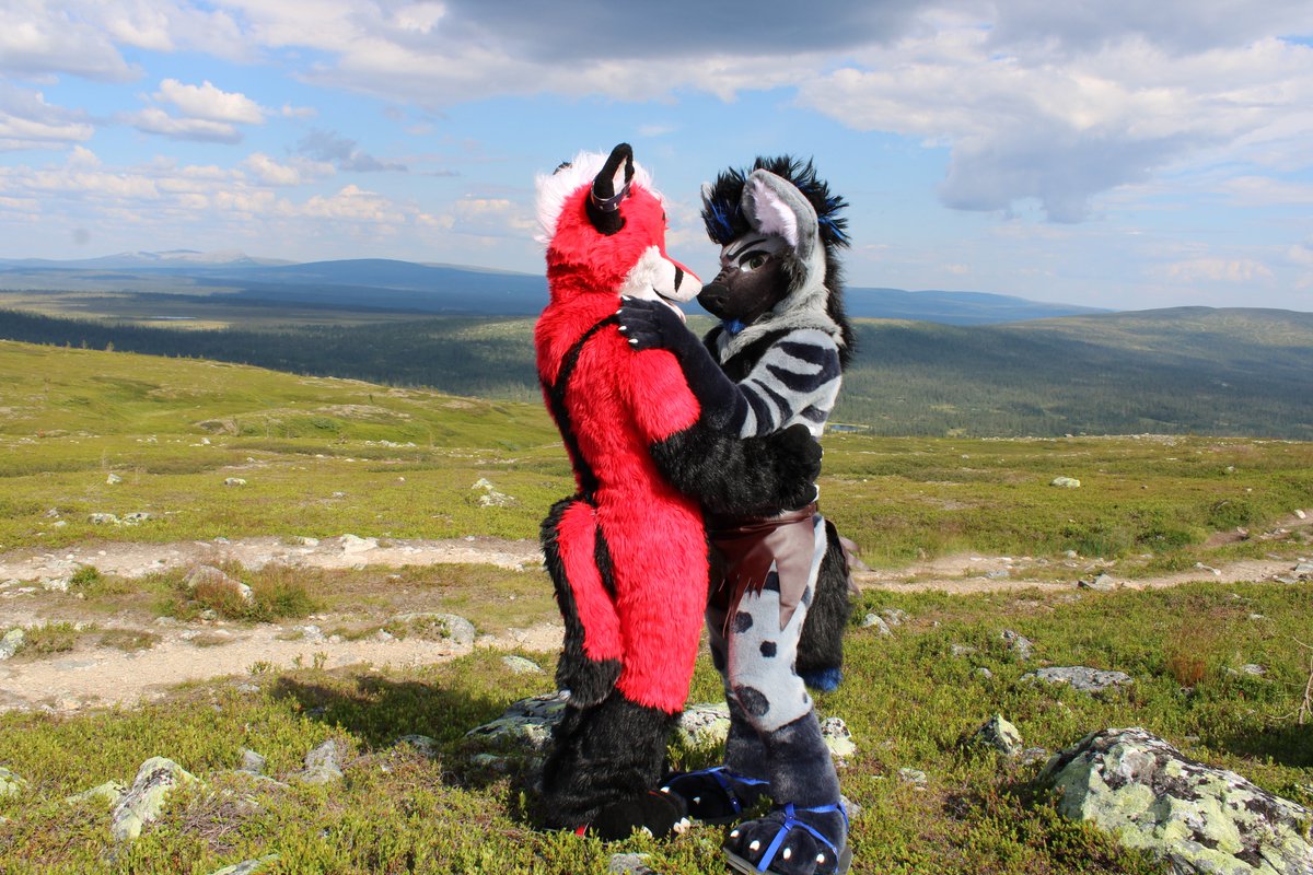 Szürky Farkas @NFC (@szurkywolf) on Twitter photo Enjoying the vacation in Sweden with my fox <a href="/Andrew_fox62/">Andrew Fox 🔜 Vacations, Furstrike</a> .
Hiking, meet friends and nature ❤️
Enjoy your week-end !
#Fursuiter #Furry #Fandomfurry Enjoying the vacation in Sweden with my fox <a href="/Andrew_fox62/">Andrew Fox 🔜 Vacations, Furstrike</a> .
Hiking, meet friends and nature ❤️
Enjoy your week-end !
#Fursuiter #Furry #Fandomfurry