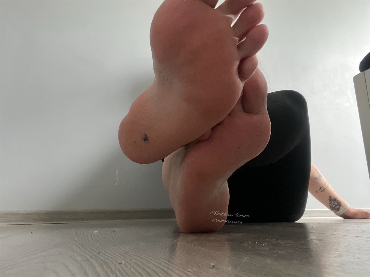 auroraxoxa's tweet photo. morning🥰 https://t.co/8Pc3UD0AtY