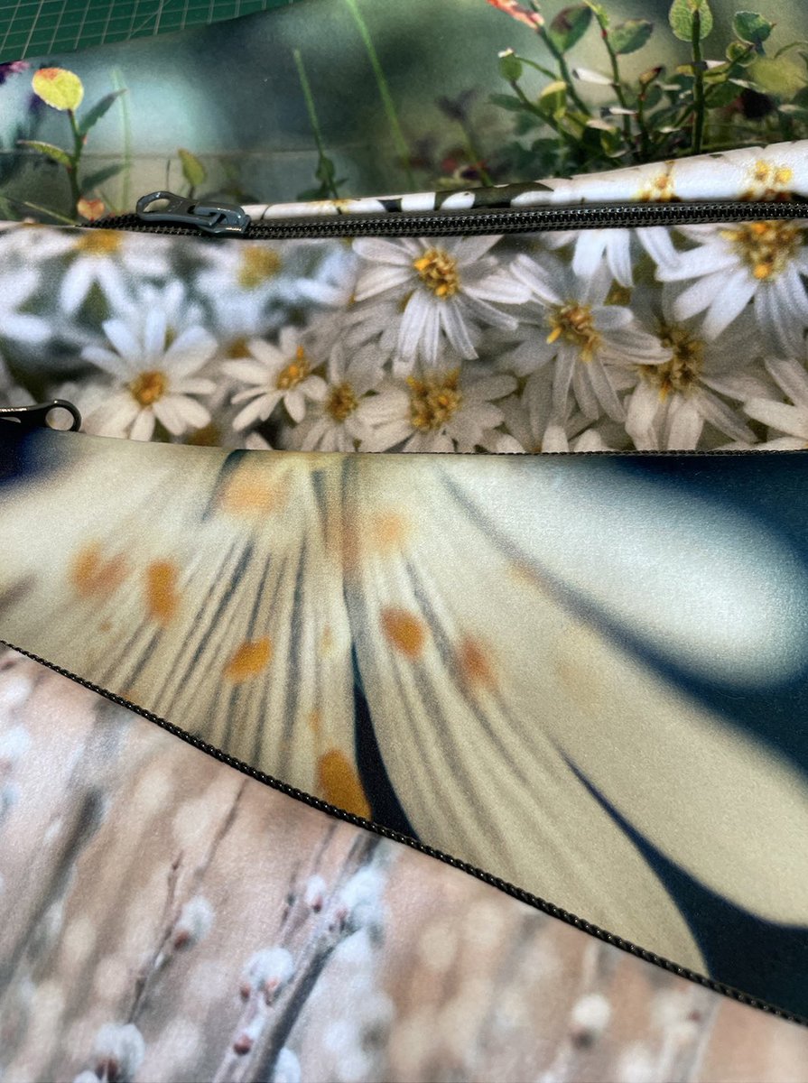 Woodland glade, olearia daisies, stitchwort flower and willow buds. A few prints I’m currently working with.