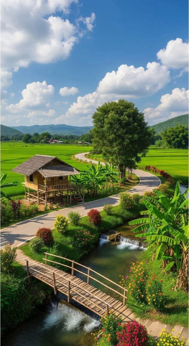 TN080319899's tweet photo. 宁静的地方🌿🪻🍀 https://t.co/lUzGbDycMV