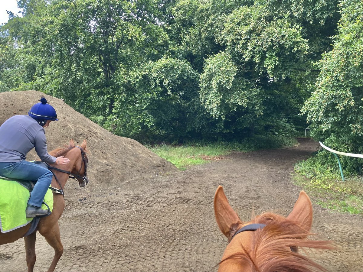 John Berry tweet media