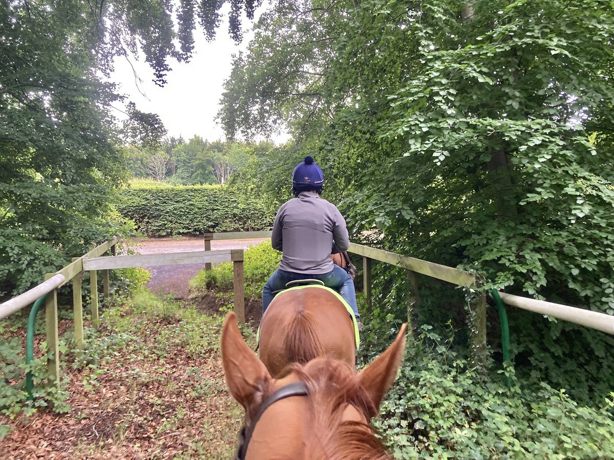 John Berry tweet media