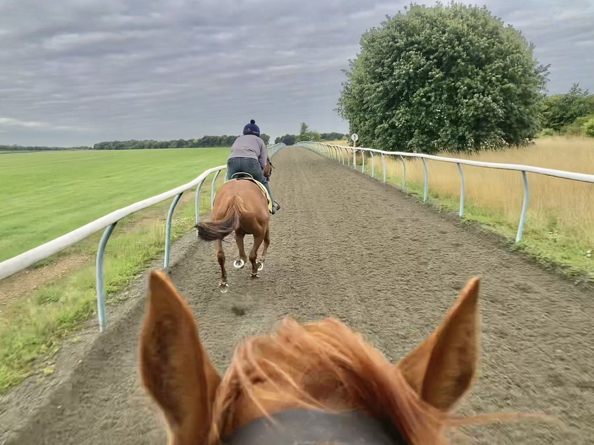 John Berry tweet media