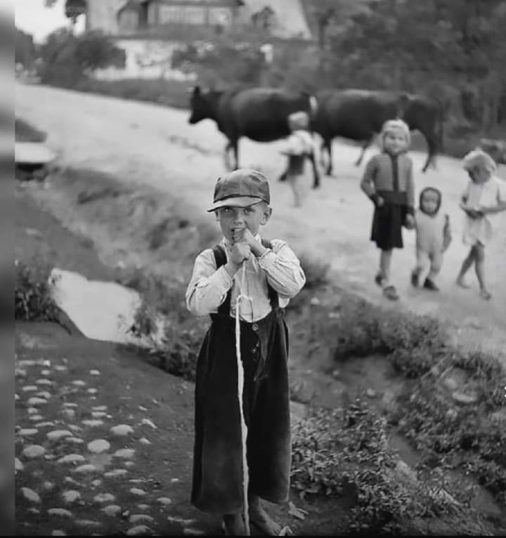 Jarek Gromulski (@gromulaw) on Twitter photo 